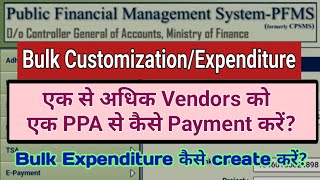 How to create bulk expenditure  bulk expenditure kaise banaye  bulk ppa kaise banaye  PFMS [upl. by Iahk]