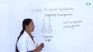 5 6 TYPES OF GAMETES HOMOGAMETES [upl. by Suciram807]