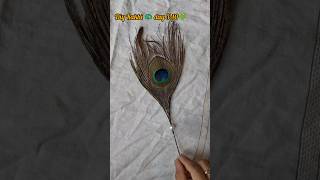 🦚morpankh Rakhi challenge day 3\10 radhakrishna rakhi rakshabandhan diy craft [upl. by Annabell]