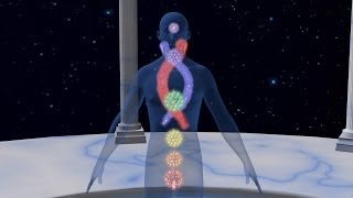 Chakra Shuddhi Complete  Shakti Tantra Meditation to Purify the Chakras [upl. by Evoy]