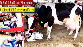 Some important information about dairy farming  fateh dairy farm [upl. by Sucitivel]