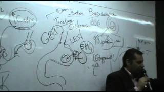 Dr Ahmed Abd ElRahman  GIT 3  Peptic Ulcer  Part 2 [upl. by Nnawtna327]