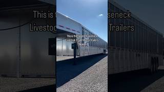 This Biggest Gooseneck Trailer Wilson Trailers make wilson livestock cattle farmer cow [upl. by Zak]