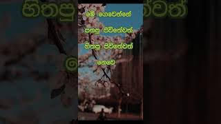 නිවන් දකින්න කාලය පැමිණ ඇත nibbana motivation dhammadesna [upl. by Jeminah]