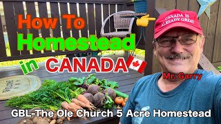 🇨🇦How To Homestead in Canada FREE Backyard Grocery Store canada homestead howto [upl. by Lennie]