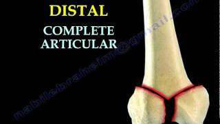 Fracture Femur Types  Everything You Need To Know  Dr Nabil Ebraheim [upl. by Auginahs]