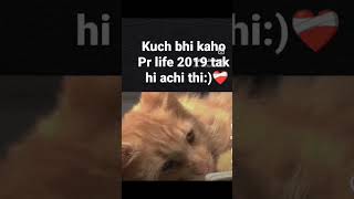 sahi bat hai🙂youtubeshortssubscribemychannel [upl. by Neehcas97]