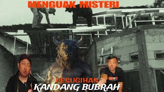 🔴LIVE PESUGIHAN KANDANG BUBRAHBROCEL ft KEREK [upl. by Rhea475]