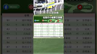 【香港賽馬】│賽馬任我行小編賽日4選 │6112024│跑馬地│ HKJC 賽馬貼士 賽馬任我行 shorts [upl. by Ardekahs]