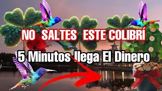 Toca El Colibrí y En 5 Minutos Te Llaman Para Darte Dinero🍀 Hooponopono dinero palabra COLIBRí [upl. by Lontson451]