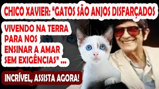 CHICO XAVIER O QUE NUNCA TE CONTARAM SOBRE OS GATOS VEJA AGORA [upl. by Ahsotan]