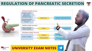 Regulation of Pancreatic secretion  Digestive System physiology [upl. by Kerek]