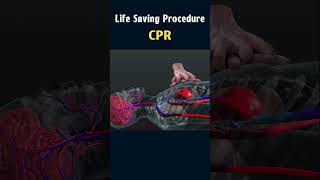 Animated CPR Demonstration Resuscitation in Action cpr lifesavingtips rescue 3danimation viral [upl. by Eilyab400]