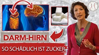 So schädlich 💀 ist Zucker 🙊 für unser Mikrobiom  Mikrobiom Praxis [upl. by Kceb]