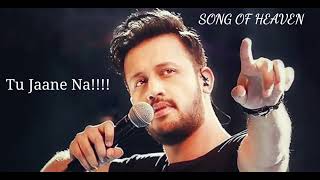 Milke Bhi Hum Na Mile Atif Aslam best song [upl. by Dimitri]