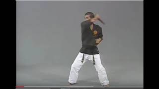 Tonfa Sun Koa  Tonfa Kata by Shihan Nishiuchi [upl. by Hctub]