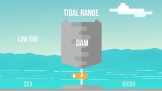 TU Delft  Tidal Energy [upl. by Nanni738]