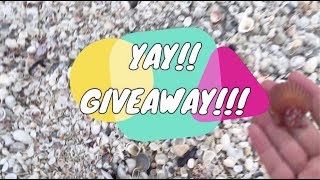 ♡ GIVEAWAY♡ Come with me to the Shell Pile [upl. by Payson493]