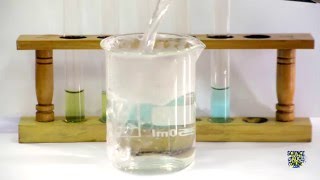 Food Tests  Iodine Biuret Benedicts Ethanol DCPIP [upl. by Pallua535]