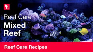 Mixed Reef  Reef care recipe [upl. by Anohr735]