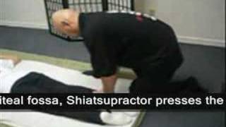 Shiatsu Demonstration 3 Prone Position Legs [upl. by Ennasor]