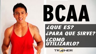 BCAA Qué Son Los BCAA Para Qué Sirve Y Cómo Usarlo [upl. by Anilrats398]