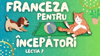 Franceza pentru incepatori 7  Propozitii simple in franceza2023partea a doua [upl. by Introk710]