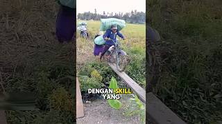 Skill Para Petani di Pedesaan shorts shortvideo [upl. by Ecinereb]