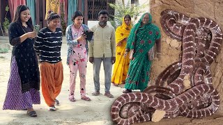 भारत का सबसे जहरीले सांपों को एक साथ कुएं से कैसे रेस्क्यू किया गया। Snake Rescue operation in Well [upl. by Jocelyne]