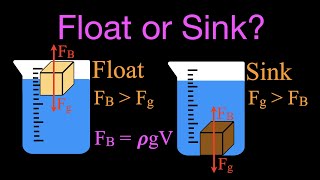 Buoyancy Floating and Sinking [upl. by Margarethe629]