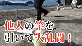 堤防で他人の竿に熊並みのパワーを持つ魚が掛かり大乱闘になった [upl. by Zerat466]