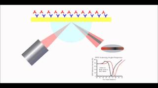 Surface Plasmon Resonance Explained [upl. by Cohleen]