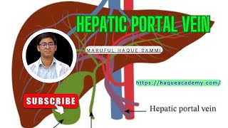 Hepatic Portal Vein [upl. by Coletta]