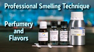 Learn How to Smell Like a Professional Perfumer or Flavourist [upl. by Notneuq]