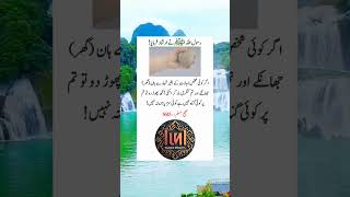 Rasool Allah saw Nay Farmayaurdu poetry explore viralvideoyoutubeshortshortsfeedInspiration [upl. by Sahpec]