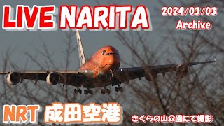 🔴LIVE at NARITA International Airport Plane Spotting 20240303 成田空港ライブカメラ 成田空港 NRTRJAA [upl. by Jaella]