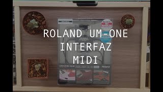 Roland Um One  Interfaz Midi  Reseña Uso Flujo de Conocimiento [upl. by Brockie]