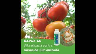 RAPAX control de Tuta [upl. by Roberta]