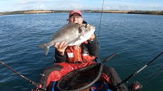 GILTHEAD BREAM FISHING  FISH OF A LIFETIME [upl. by Ramed82]