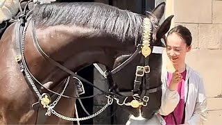 quotMajestic Moments A Spectacular Day with Regal Horses at Horse Guardsquot [upl. by Lavelle537]