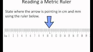 Reading a Metric Rulerwmv [upl. by Candie]