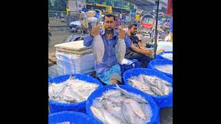 এই প্রথম ইলিশ মাছ নিয়ে গান গেয়ে ভাইরালl Viral Song ilish fish shorts ilishbazar [upl. by Ardrey]