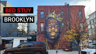 Exploring Brooklyn  Walking BedStuy  Brooklyns Upcoming Neighborhood [upl. by Reamonn]