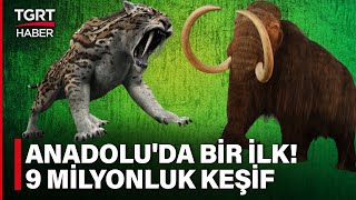 Anadoluda Bir İlk Denizlide 9 Milyon Yıllık Hayvan Fosilleri  TGRT Haber [upl. by Gisele835]