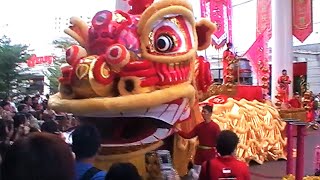 Barongsai Terbesar di Dunia [upl. by Halihs]