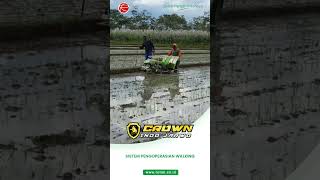 CANGGIH Penanam padi CROWN INDO JARWO auto jajar legowo transplanter penanampadi jajarlegowo [upl. by Burnsed]