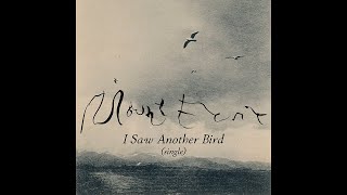 Mount Eerie  I Saw Another Bird [upl. by Hulbig]