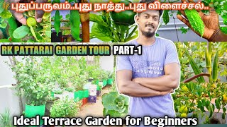 மாடி தோட்டம் TOUR 😍 RK PATTARAI GARDEN TOUR  🌾200 EPIC PLANTS  TERRACE GARDEN🌷  MAADI THOTTAM🌱 [upl. by Filberto302]