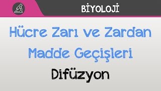 Hücre Zarı ve Zardan Madde Geçişleri  Difüzyon [upl. by Leahcimnaj681]