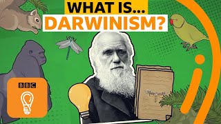 Charles Darwins theory of evolution explained  AZ of ISMs Episode 4  BBC Ideas [upl. by Abil]